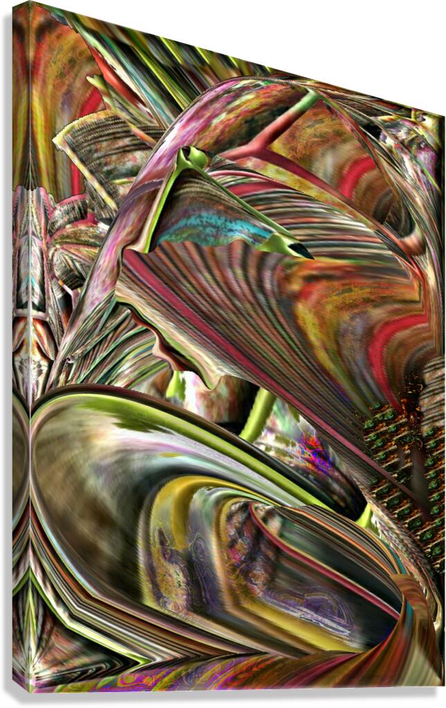 Florbis Canvas Print