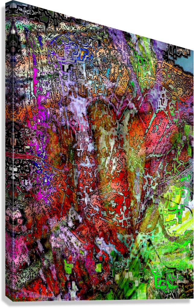 Dardillo Canvas Print
