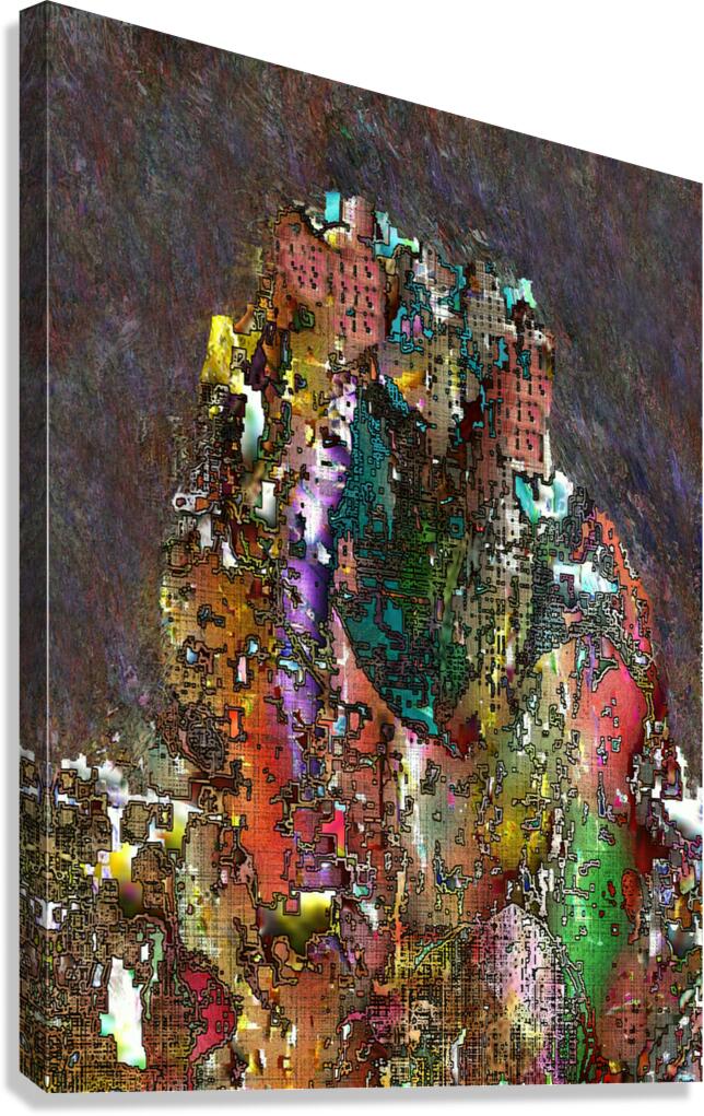 Drum Castle Canvas Print