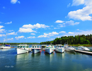 Summertime in Cardigan PEI