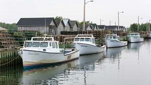 Lobster Boats at Rest