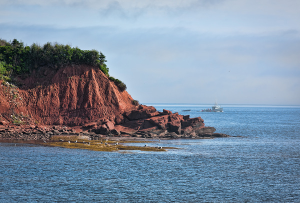 Red Coastline of Cape Bear PEI Print