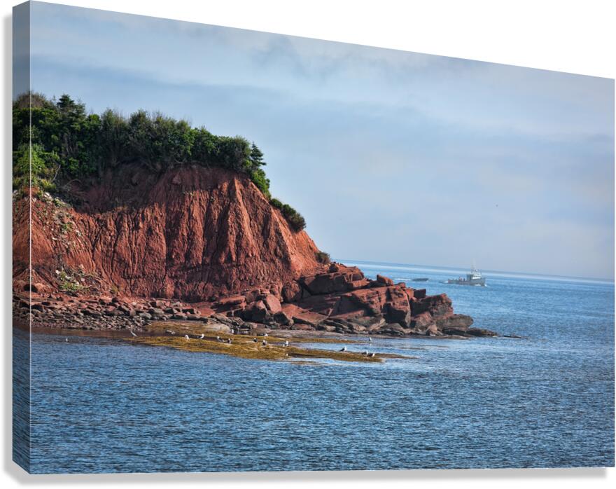 Red Coastline of Cape Bear PEI Canvas Print