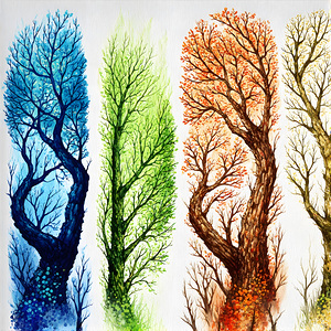 Cycle of Seasons: Nature’s Quartet