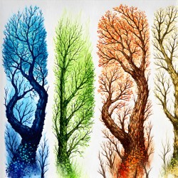 Cycle of Seasons: Nature’s Quartet