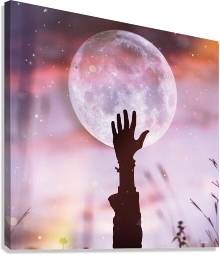 Shadowhand Canvas Print
