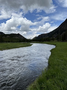 Montana