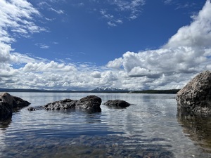 Alta