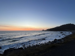 Coastal Beach