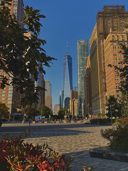 NY Print