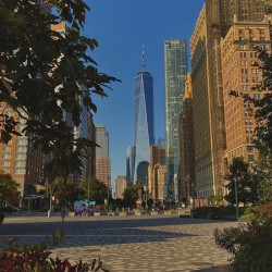 NY