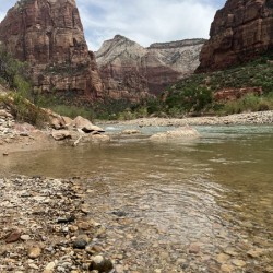 Zion River