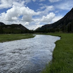 Montana