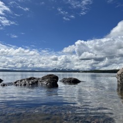 Alta