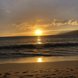 Venice Beach Sunset