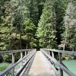 Ross Lake