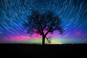 Aurora Star Trails