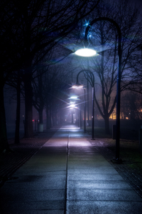 Farnam Fog 