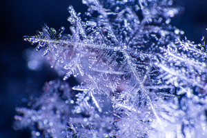 Flakes
