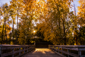Mahoney Bridge 