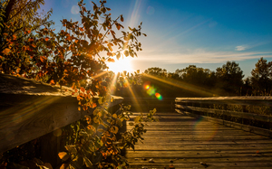 Mahoney Dock 