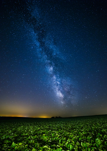 Nebraska Nights 
