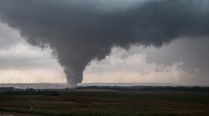 Pilger Close 
