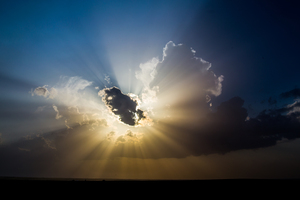 Sun Rays