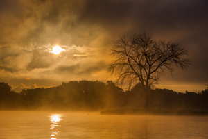 Sunrise