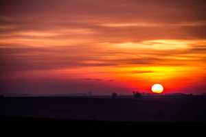 Summer Sunset