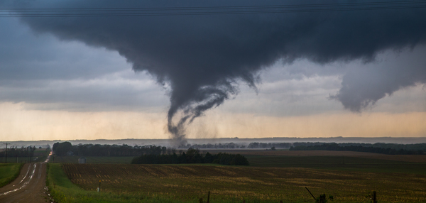 Pilger Overhead Print