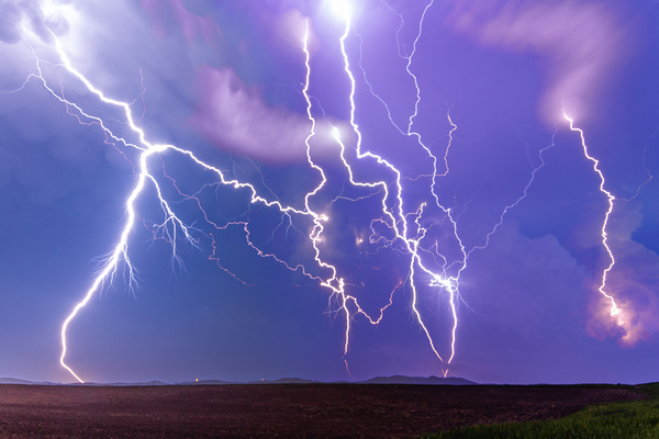 Ansley Lightning Print