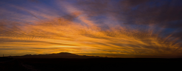 Cali Sunset  Print
