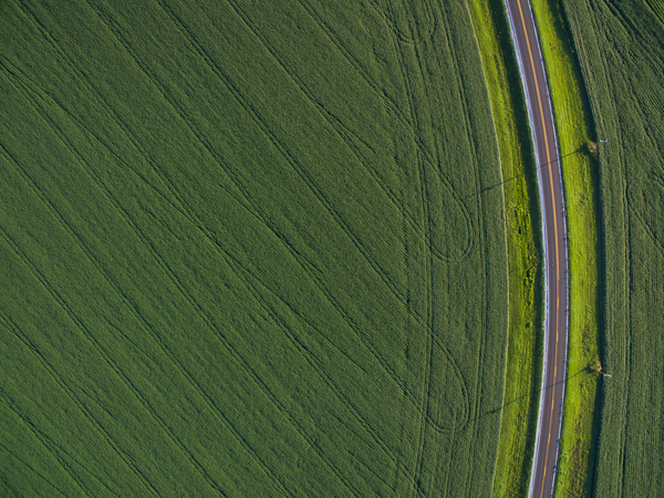Highway 1 Print