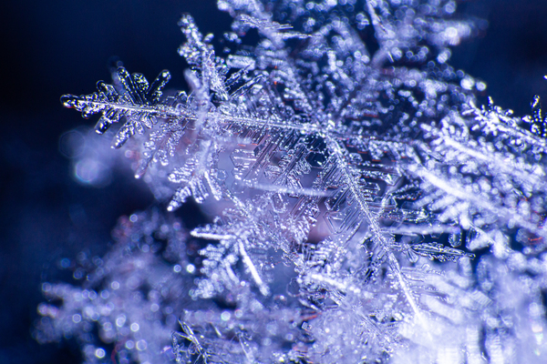 Flakes Print