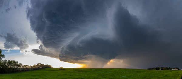 Hailer Print