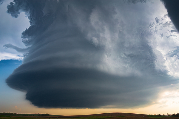 Mothership Print
