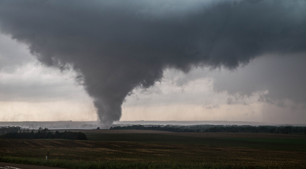 Pilger Close  Print