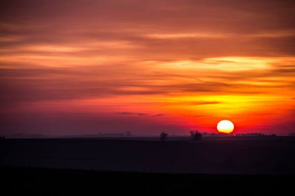 Summer Sunset Print