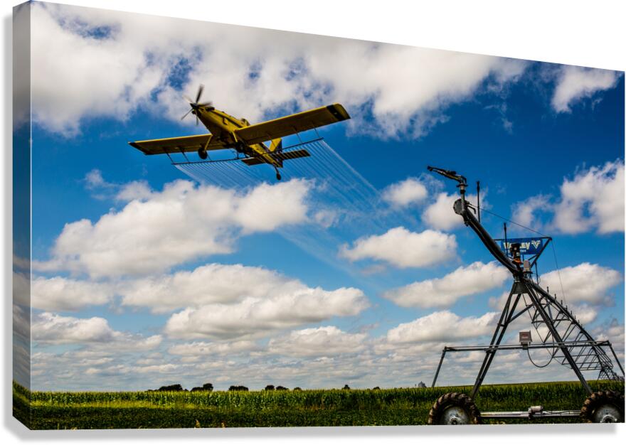 Duster Canvas Print