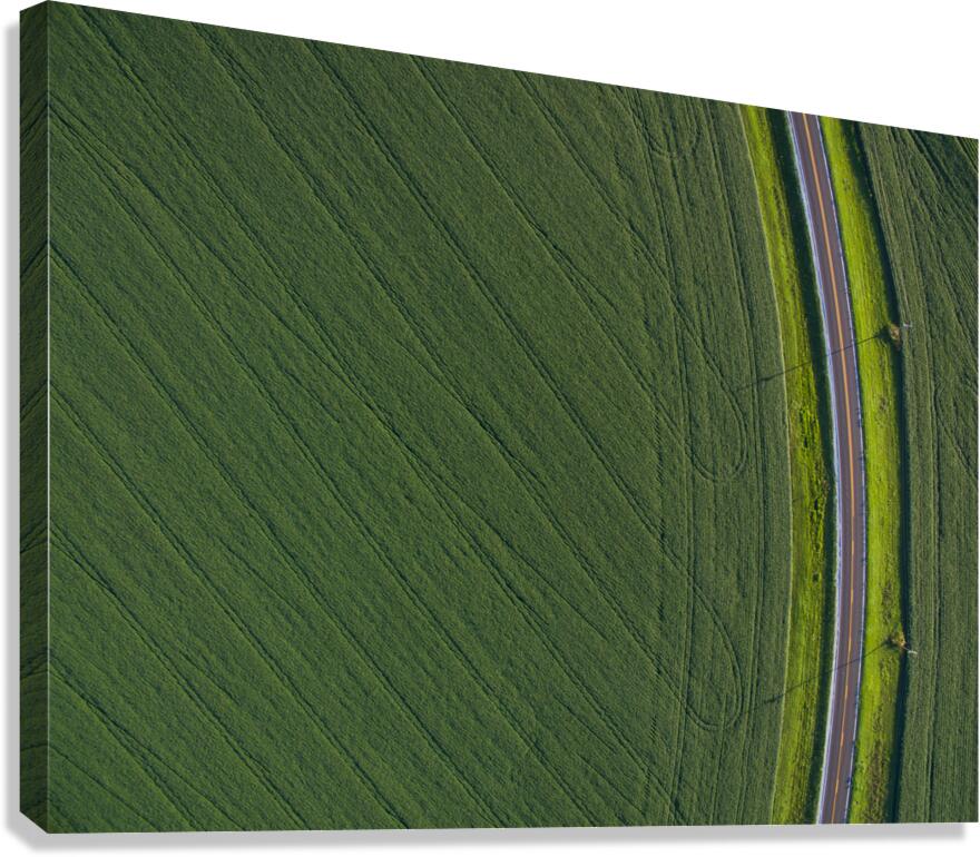 Highway 1 Canvas Print
