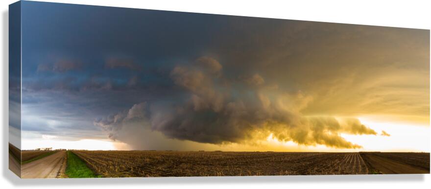 Stiring Canvas Print
