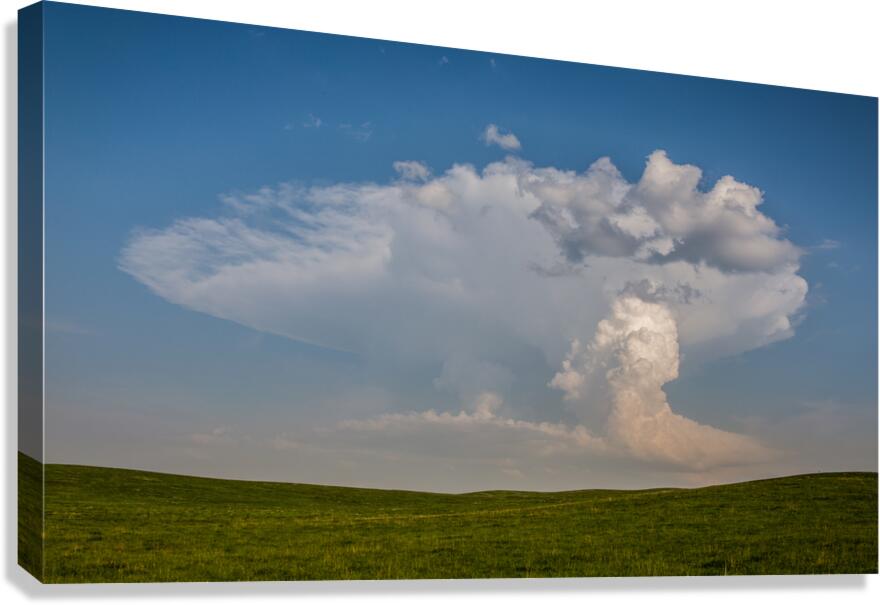 Initation Canvas Print
