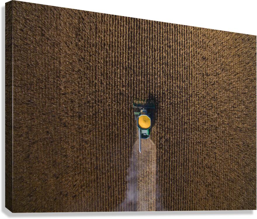 Harvester Canvas Print