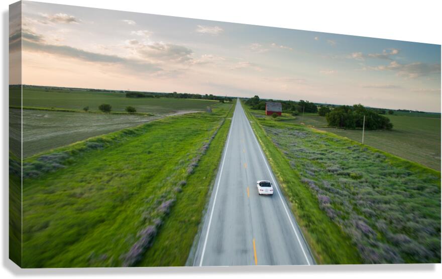 Crusing Canvas Print