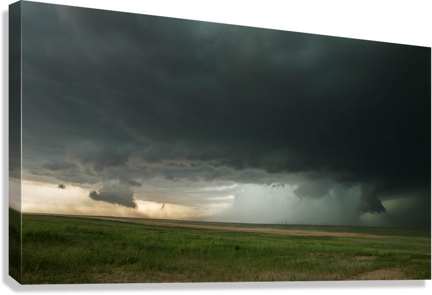 Open Sky  Canvas Print