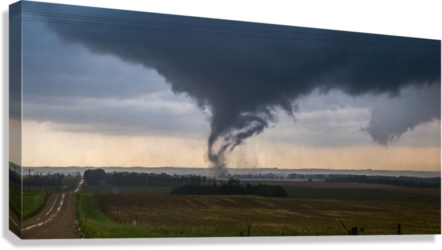 Pilger Overhead Canvas Print