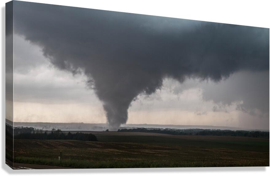 Pilger Close  Canvas Print