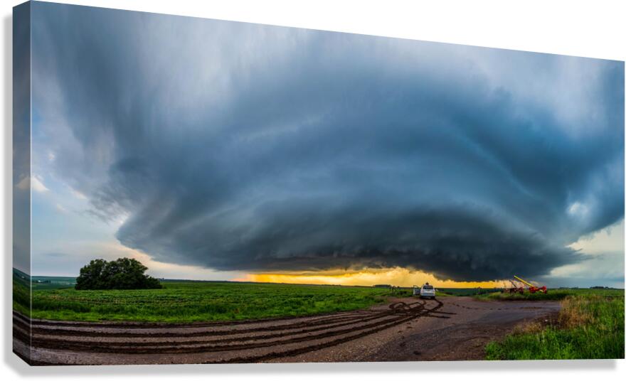 Stuck  Canvas Print