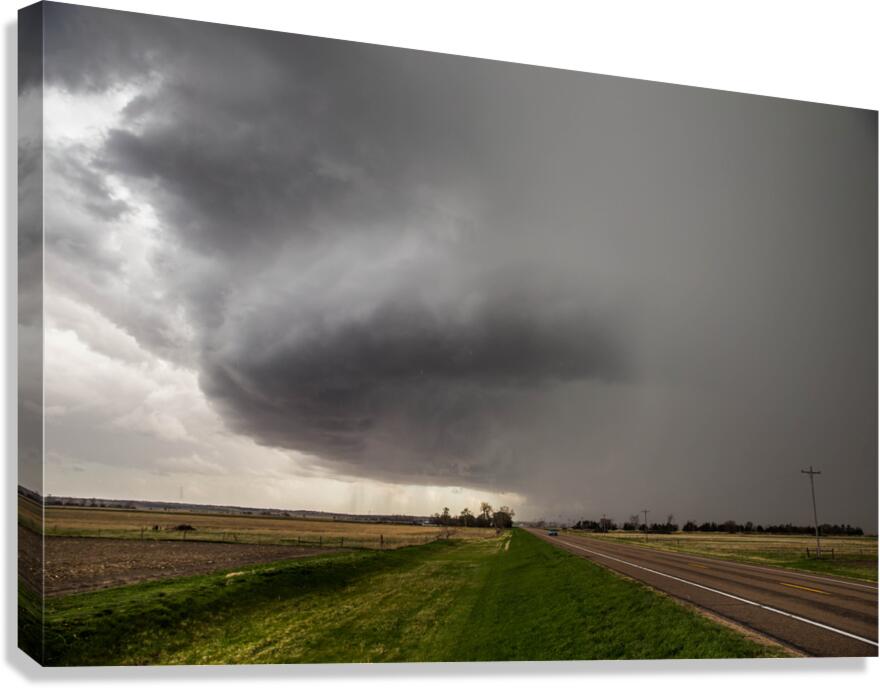 Bradshaw  Canvas Print